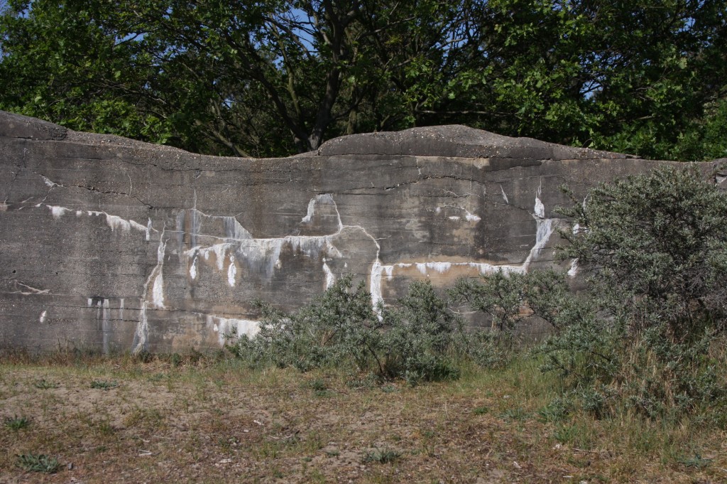Katwijk Panbos Forest Anti-tank wall